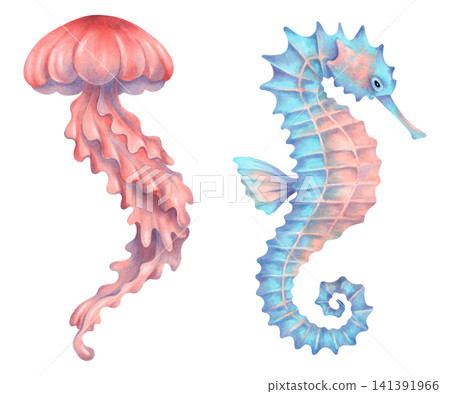 Clip art of an adorable jellyfish and seahorse for kids. Watercolor illustration of a sea animal. Hand drawn underwater cartoon animal for baby shower invitations. Art for decorating children room. Clip art of an adorable jellyfish and seahorse for kids. Watercolor illustration of a sea animal. Hand drawn underwater cartoon animal for baby shower invitations. Art for decorating children room. 141391966