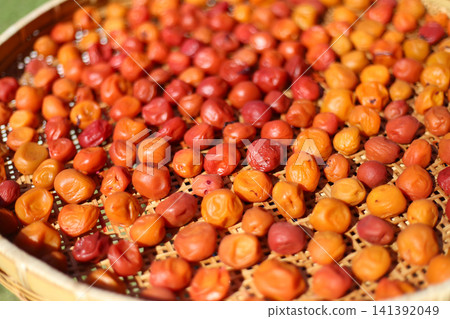 Drying Umeboshi Drying Umeboshi 141392049