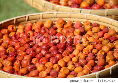 Drying Umeboshi Drying Umeboshi 141392052