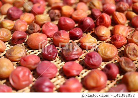 Drying Umeboshi Drying Umeboshi 141392058