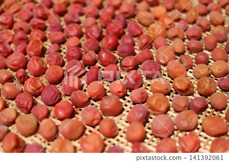 Drying Umeboshi Drying Umeboshi 141392061