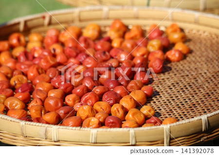 Drying Umeboshi Drying Umeboshi 141392078