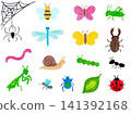 Hand-drawn illustrations of small insects and creatures you might encounter in your garden. 141392168