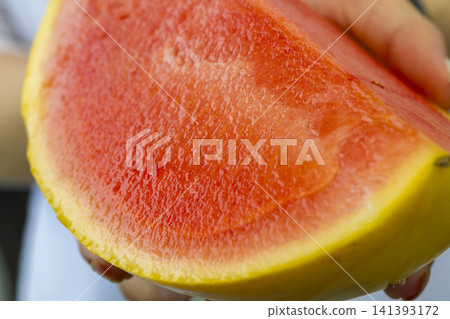 "Kinpuku Watermelon," a specialty of Fukui Prefecture, is a brand of watermelon with a yellow rind and vibrant red flesh. 141393172