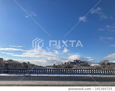 積雪覆蓋的橋樑護欄和冬日街景 141393725