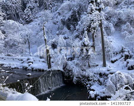 冬日里，一條河流蜿蜒流過白雪皚皚的森林。 141393727