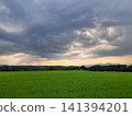 暮色籠罩下的信州稻田美景。 141394201