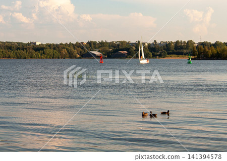 Sailboat glides across calm lake waters. Ducks swim near foreground, enjoying the surface. Trees line distant shore under partly cloudy sky. Vibrant buoy floats near sailboat, adding contrast Sailboat glides across calm lake waters. Ducks swim near foreground, enjoying the surface. Trees line distant shore under partly cloudy sky. Vibrant buoy floats near sailboat, adding contrast 141394578