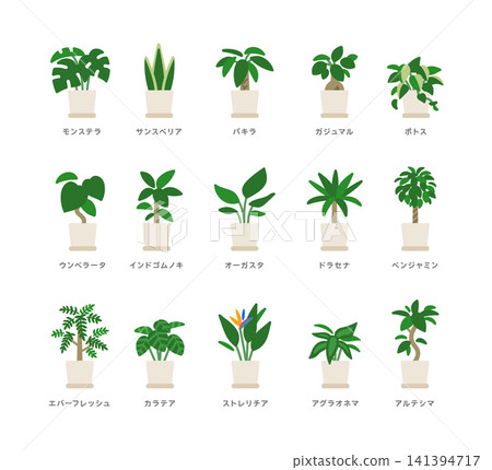 Simple houseplant illustration set Simple houseplant illustration set 141394717