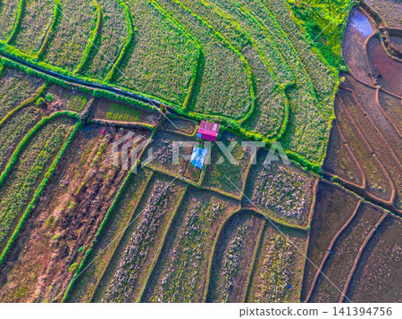 Aerial view of the lush Tegalalang landscape featuring a winding river flowing through dense tropical forest and terraced fields in Indonesia Aerial view of the lush Tegalalang landscape featuring a winding river flowing through dense tropical forest and terraced fields in Indonesia 141394756