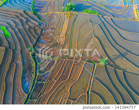 Aerial view of the lush Tegalalang landscape featuring a winding river flowing through dense tropical forest and terraced fields in Indonesia Aerial view of the lush Tegalalang landscape featuring a winding river flowing through dense tropical forest and terraced fields in Indonesia 141394757
