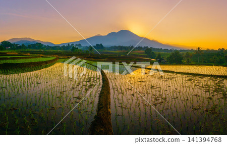 Aerial view of the lush Tegalalang landscape featuring a winding river flowing through dense tropical forest and terraced fields in Indonesia Aerial view of the lush Tegalalang landscape featuring a winding river flowing through dense tropical forest and terraced fields in Indonesia 141394768