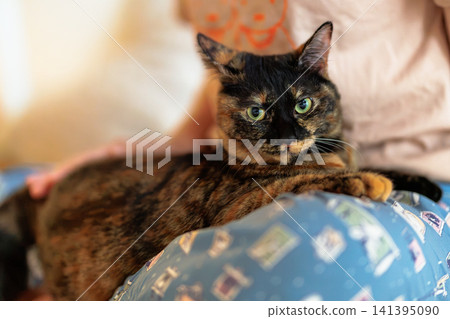 Sabi cat 141395090