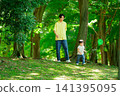 A 2-year-old boy catching insects in the summer 141395095