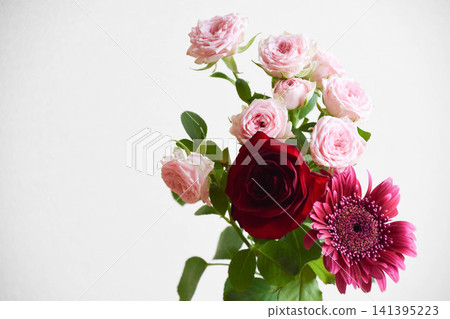 Rose and Gerbera Rose and Gerbera 141395223