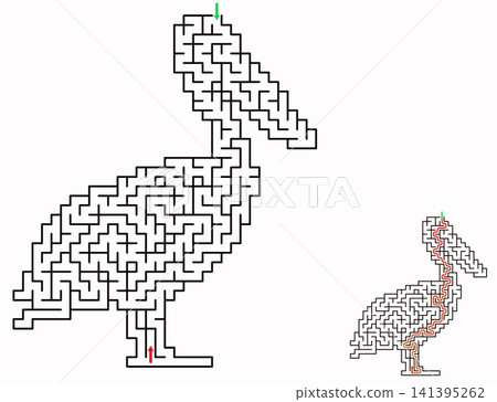 Pelican maze puzzle with solution, isolated on a white background. A fun puzzle for kids and adults, an educational activity, logic game, and worksheet. 141395262
