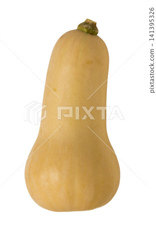 A collection of various pumpkin varieties photographed against a white background. A collection of various pumpkin varieties photographed against a white background. 141395326