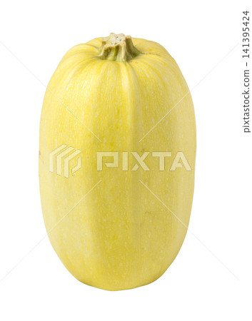 A collection of various pumpkin varieties photographed against a white background. A collection of various pumpkin varieties photographed against a white background. 141395424