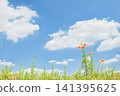 Clouds floating in the blue sky and yellow flowers 141395625