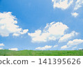 Refreshing blue sky and meadow 141395626