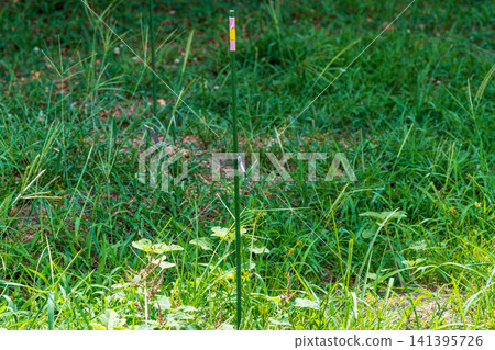 A small dragonfly perched on a pole in a lush green grassland. 141395726