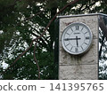 A park clock nestled among the trees 141395765