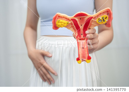 Asian woman holding human uterus anatomy model. Asian woman holding human uterus anatomy model. 141395770