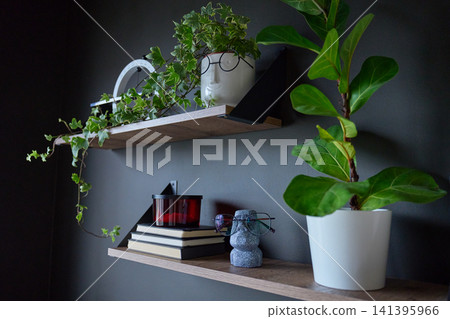 Floating wooden shelves decorated with houseplants, books, candle and decorative accessories Floating wooden shelves decorated with houseplants, books, candle and decorative accessories 141395966