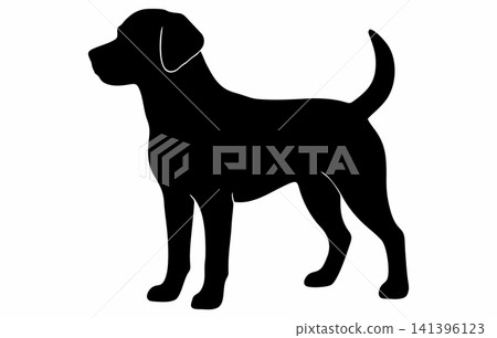 Vector silhouette of a standing Labrador Retriever. 141396123