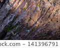 Textured jasper rock surface with layered formations and moss patches visible 141396791