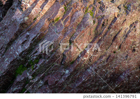 Textured jasper rock surface with layered formations and moss patches visible 141396791