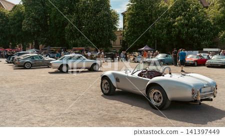 Silver Cobra Style Roadster at Oldtimer Open Air Silver Cobra Style Roadster at Oldtimer Open Air 141397449