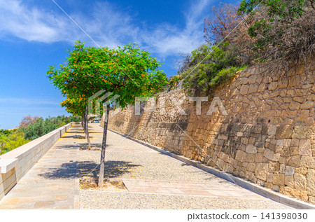 Trees alley on road to Mount Benacantil rock in Parque de La Ereta park Trees alley on road to Mount Benacantil rock in Parque de La Ereta park 141398030