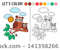 Forest coloring page with mama owl sitting on oak tree with baby owlet. Vector wild bird illustration. Color book with colored example. Drawing printable worksheet with line woodland animal 141398266