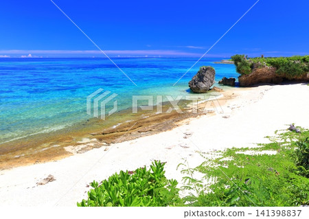 [Okinawa Prefecture] The beautiful beaches of Okinawa Ocean Expo Park and Ie Island under a clear blue sky (Okinawa Ocean Expo Park) 141398837