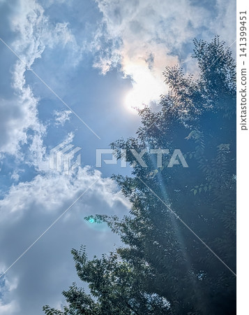 Sunlight shining through the clouds, blue sky, and silhouettes of trees | Summer natural scenery Sunlight shining through the clouds, blue sky, and silhouettes of trees | Summer natural scenery 141399451