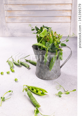 Fresh green pea pods and sprouts in a rustic jug 141399579