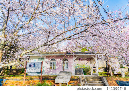 能登鐵道:能登鹿島站櫻花盛開。 能登鐵道:能登鹿島站櫻花盛開。 141399746