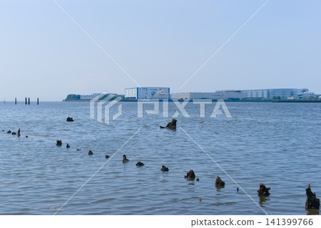 Near the mouth of the Edogawa River in Ichikawa City, Chiba Prefecture, July 2026 141399766