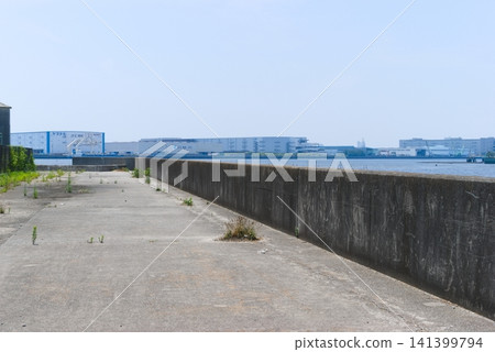 2026年7月,千葉縣市川市江戶川河口附近 2026年7月,千葉縣市川市江戶川河口附近 141399794