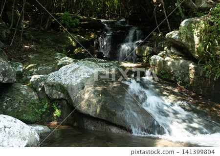 A small waterfall in the forest A small waterfall in the forest 141399804