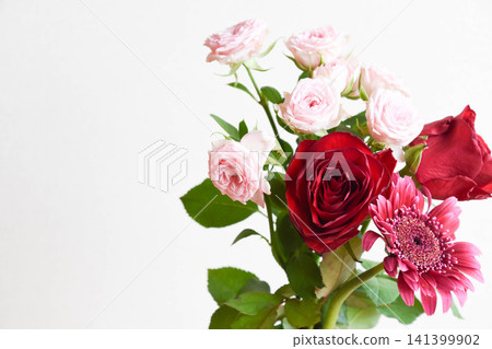 Rose and Gerbera Rose and Gerbera 141399902
