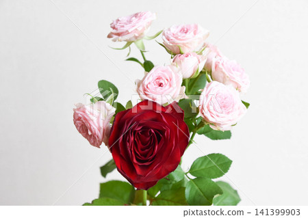 Rose and Gerbera Rose and Gerbera 141399903