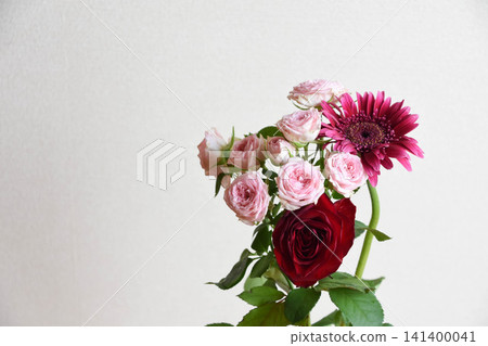 玫瑰和非洲菊 玫瑰和非洲菊 141400041