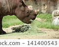 大阪天王寺動物園的東部黑犀牛 141400543