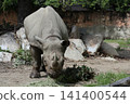 大阪天王寺動物園的東部黑犀牛 141400544