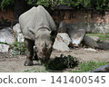 大阪天王寺動物園的東部黑犀牛 141400545