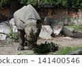 大阪天王寺動物園的東部黑犀牛 141400546