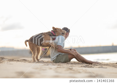 Dog playfully interacts with man sitting on sandy beach during sunset, with ocean waves and distant shoreline visible in the background. Airedale Terrier 141401168
