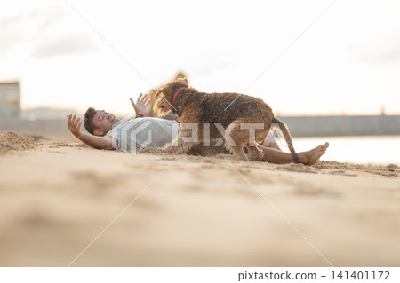 Young man lying on sandy beach playing with a brown dog, sunlight illuminating the scene, water and distant shoreline visible in the background. Airedale Terrier Young man lying on sandy beach playing with a brown dog, sunlight illuminating the scene, water and distant shoreline visible in the background. Airedale Terrier 141401172